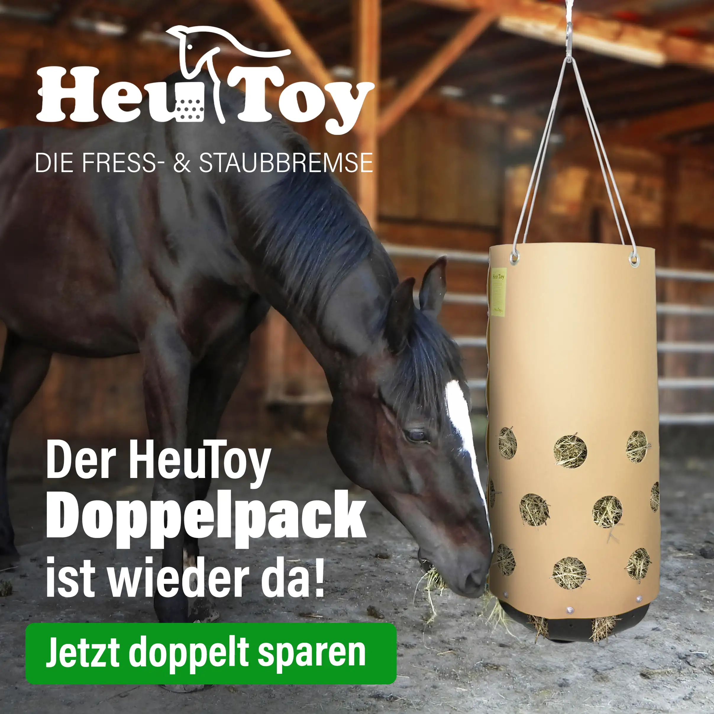 Banner Quadratisch Doppelpackaktion.webp