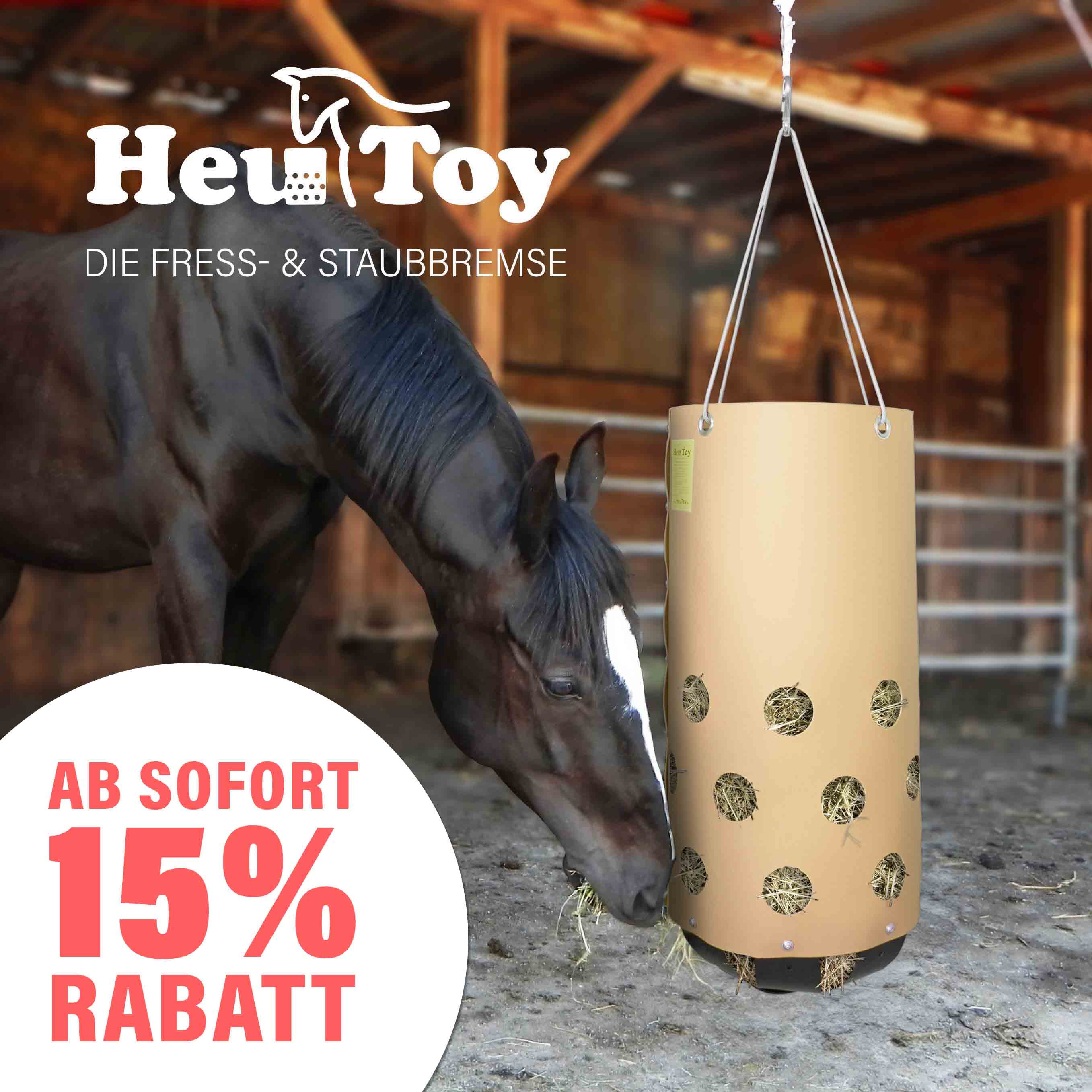 HeuToy Banner 15% Rabatt Übersicht.jpg